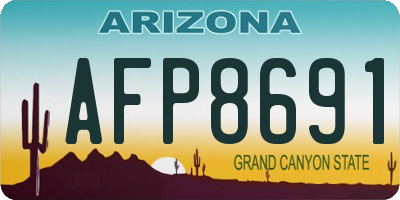AZ license plate AFP8691