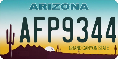 AZ license plate AFP9344