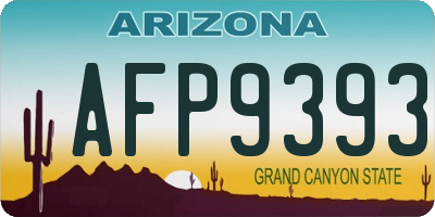 AZ license plate AFP9393
