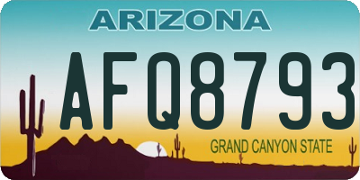 AZ license plate AFQ8793