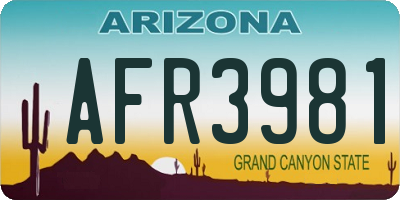 AZ license plate AFR3981