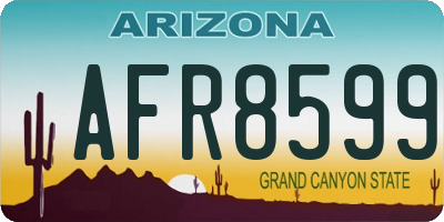 AZ license plate AFR8599