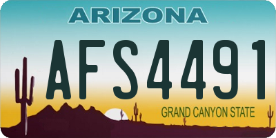 AZ license plate AFS4491