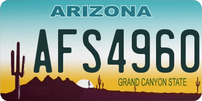 AZ license plate AFS4960