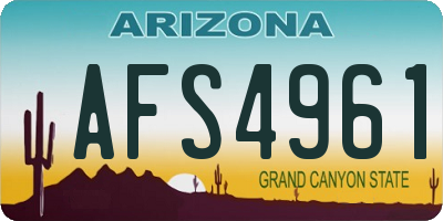 AZ license plate AFS4961