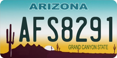 AZ license plate AFS8291
