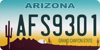 AZ license plate AFS9301