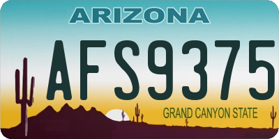 AZ license plate AFS9375