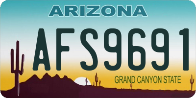 AZ license plate AFS9691