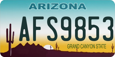 AZ license plate AFS9853