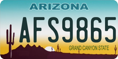 AZ license plate AFS9865