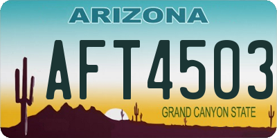 AZ license plate AFT4503