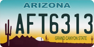 AZ license plate AFT6313