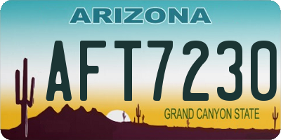AZ license plate AFT7230