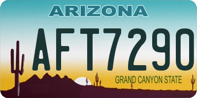 AZ license plate AFT7290