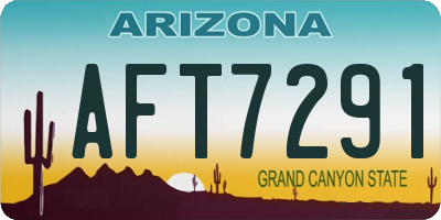 AZ license plate AFT7291
