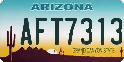AZ license plate AFT7313
