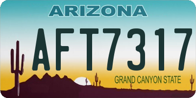 AZ license plate AFT7317