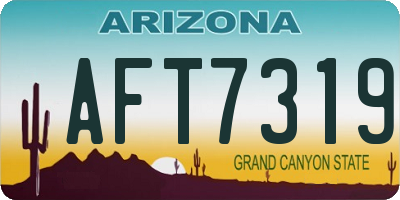 AZ license plate AFT7319