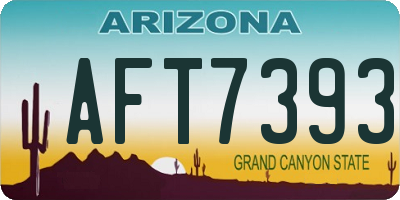 AZ license plate AFT7393