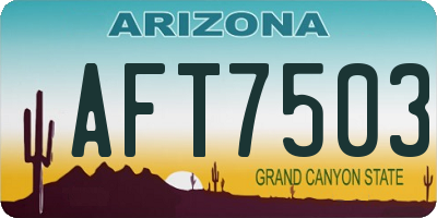AZ license plate AFT7503