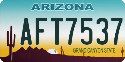 AZ license plate AFT7537