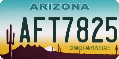 AZ license plate AFT7825