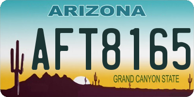 AZ license plate AFT8165