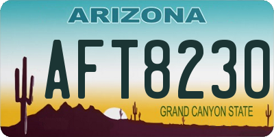 AZ license plate AFT8230