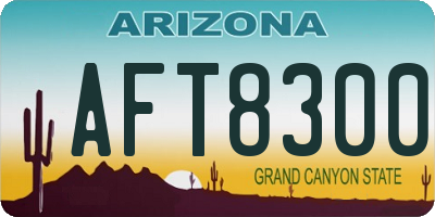 AZ license plate AFT8300