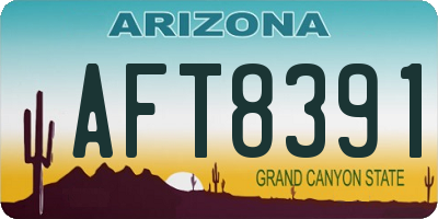AZ license plate AFT8391