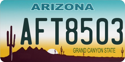 AZ license plate AFT8503