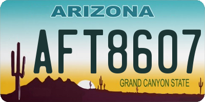 AZ license plate AFT8607
