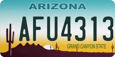 AZ license plate AFU4313