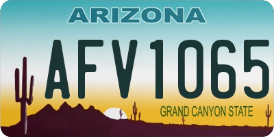 AZ license plate AFV1065