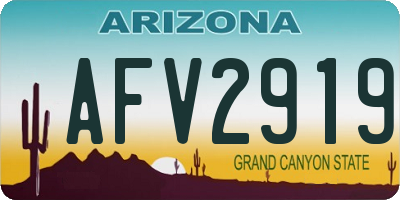 AZ license plate AFV2919
