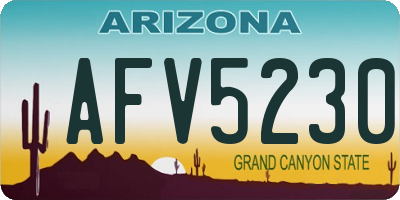 AZ license plate AFV5230