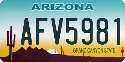 AZ license plate AFV5981