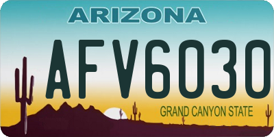 AZ license plate AFV6030