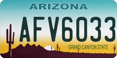 AZ license plate AFV6033