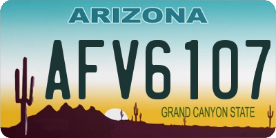 AZ license plate AFV6107