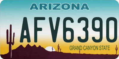 AZ license plate AFV6390