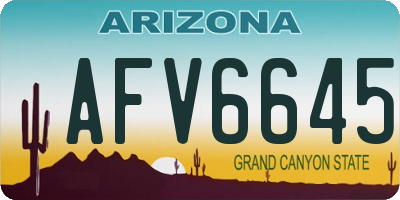AZ license plate AFV6645