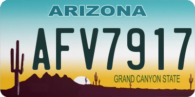 AZ license plate AFV7917