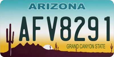 AZ license plate AFV8291