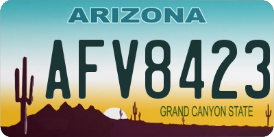 AZ license plate AFV8423