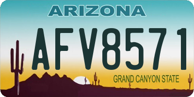 AZ license plate AFV8571