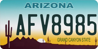 AZ license plate AFV8985