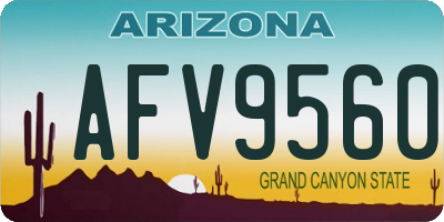 AZ license plate AFV9560