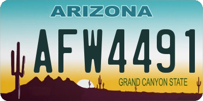 AZ license plate AFW4491
